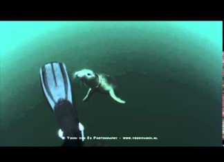 Bijzonder ontmoeting, dubbel gevoel