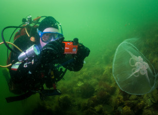 Onderzoek naar wensen duikers in Nederland Nikon COOLPIX AW130 - Foto: Yoeri van Es Photography