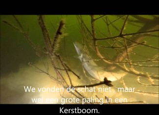 Schatzkistentauchen in Lingen (BRD)