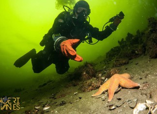 Duiken en squeeze Duiker met droogpakhandschoen - Foto: Yoeri van Es