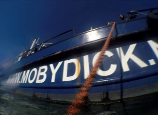 Eerste sepia van 2016 gespot!