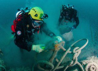 Expeditie Zuid 2016: 2 ton visnetten geruimd Duikers van Expeditie Zuid 2016 verwijderen bijna 2 ton visnetten en ontdekken een zeer zeldzame diersoort voor Nederland