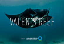 360º video van Indonesisch koraalrif Valen's Reef