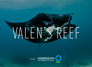 360º video van Indonesisch koraalrif Valen's Reef