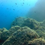 Elba onderwaterlandschap - Foto: Anders Finn Jørgensen / CC BY-SA 20