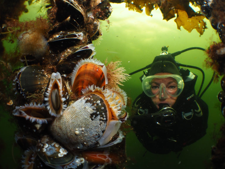 Winnende foto categorie groothoek met duiker bij het Nederlands Kampioenschap Onderwaterfotografie 2016 - Foto: Raymond Wennekes