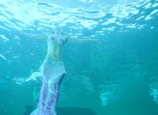 Indoorduikcentrum TODI officieel geopend