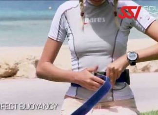 Perfect trimmen – SSI