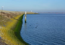Waterschap organiseert College Dijkveiligheid in heel Zeeland Dijk in Zeeland - Foto: Luc Coekaerts / CC0 1.0