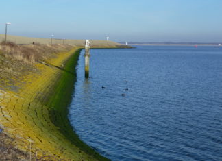 Waterschap organiseert College Dijkveiligheid in heel Zeeland Dijk in Zeeland - Foto: Luc Coekaerts / CC0 1.0