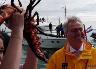 Kreeftenseizoen 2017 officieel geopend Eerste kreeft kreeftenseizoen 2017