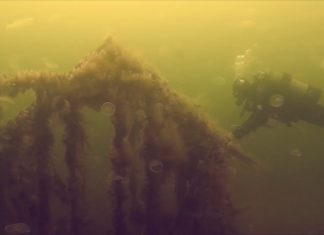 Het Kasje van Dreischor