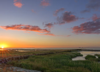 Broedvogels en vissen centraal bij nieuwe afspraken Waddengebied Zonsopkomst boven de Waddenzee - Foto: Markus Trienke