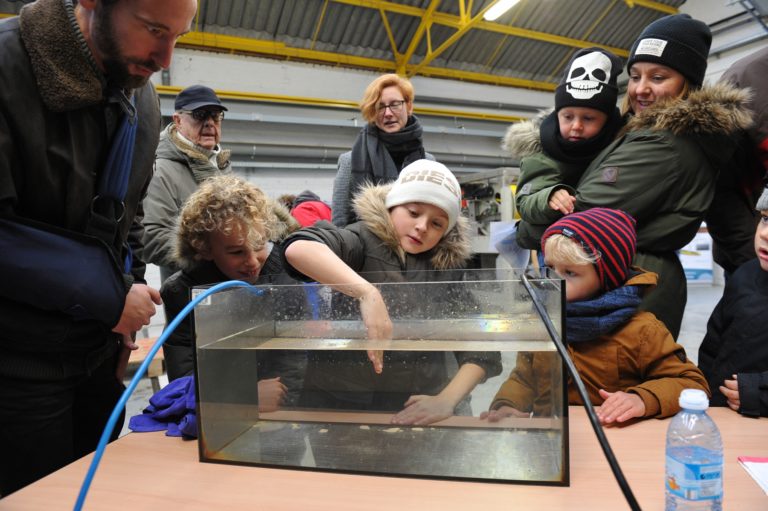 Noordzeemysteries: van mammoet tot onderwaterrobot