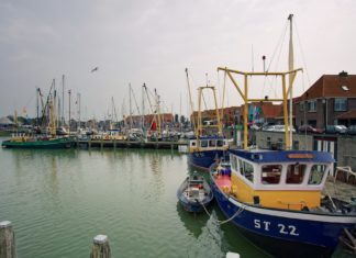 Commerciële visbestanden Noordzee ontwikkelen zich goed Vissers in de haven van Stavoren - Foto: Michiel Jelijs / CC BY 2.0