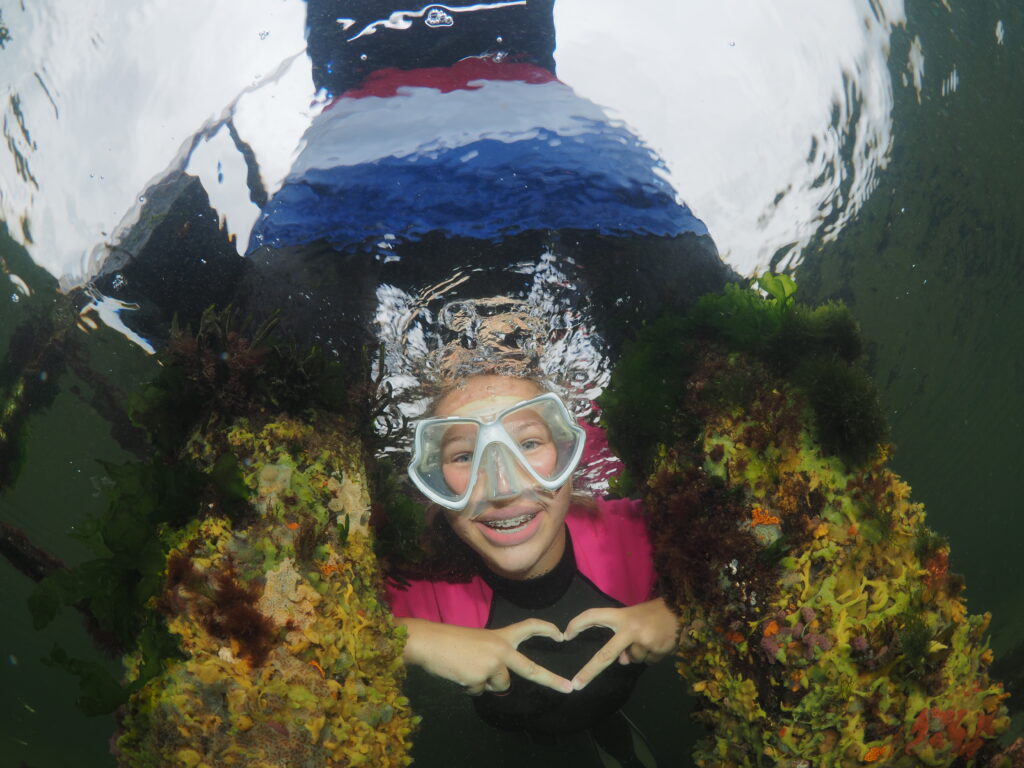 ONK Masters Thema 1e plek - © René Weterings