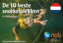 Boekje ‘De 10 beste snorkelplekken in Nederland’ beschikbaar De 10 beste snorkelplekken van Nederland