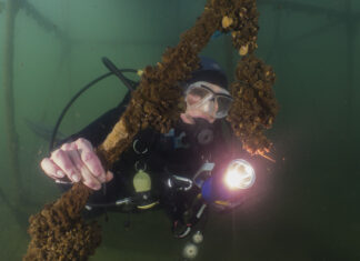 Duiken met een Doel: onderzoek naar waterhelderheid bij duikplaats De Berendonck De Berendonck - Duikteam de Kaaiman