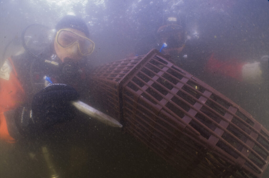 Paasduik De Berendonck - Duikteam de Kaaiman